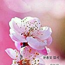 이모네설렁탕 이미지