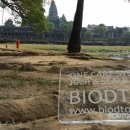 하나디톡 이미지