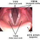 에스제이실용음악학원 이미지