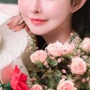 쉼;마포 이미지
