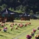 의성군시설관리사업소 이미지