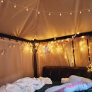 금두꺼비PC방 | [김즉흥 일상] 2023년 1월 중순 놀고먹었던 일상