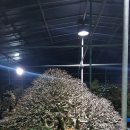 산업인(아) 이미지