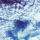 나무한그루 이미지