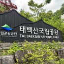 (2024.06.01) 2024 태백시 노사민정 한마음 화합 다짐대회 이미지