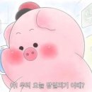 면식맛집