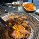 경성갈매기