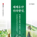 왕경 뉴시스