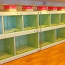 내품에동물병원 이미지