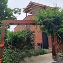 지리산 외갓집 이미지