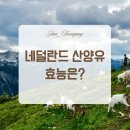 지안팜퍼니