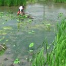 연화농장 이미지