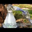 불로양봉원