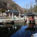 고향찻집 이미지