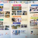 물고기마을 이미지