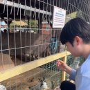 채운목장 이미지