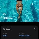 팔마체육시설 팔마수영장 이미지