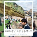 (주)중앙소방 | 2025 경남고성 공룡엑스포 오픈런후기 방문팁 방출