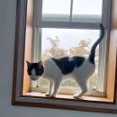 산들맘2 이미지