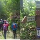 보성마트 이미지