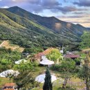 카페달리아 삼랑진 이미지