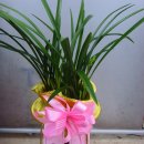 건치치과기공소 이미지