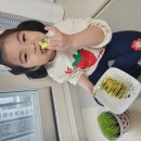 은휴