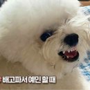 기분
