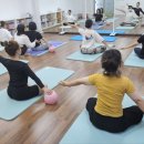 (24여름학기) 소도구 필라테스 이미지