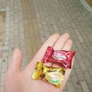 젠아이교육 이미지