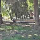 스플렌카 이미지