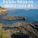 강동 화암 주상절리 | 해파랑길 10코스 걷기 여행기｜정자항에서 강동화암 주상절리, 읍천항 벽화마을까지 감성 넘치는 경주...