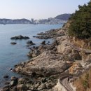 외양농장 이미지