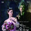 유니버설발레단 잠자는 숲속의 미녀 이미지