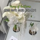 더라움 | 하우스오브더라움 웨딩부케 부토니에 후기