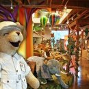 테지움사파리 이미지