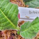 행복구대 이미지