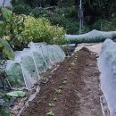 날씨누리 예보입니다 ❤️ 이미지