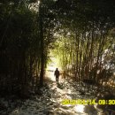 밤재 등산로 이미지