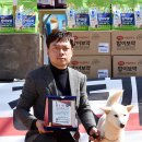 한국진도견협회