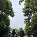 귤나잇