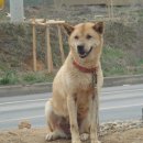 무쏘목장 이미지