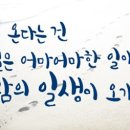 허브홀릭