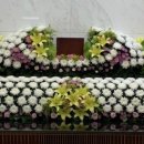 중앙장식 이미지