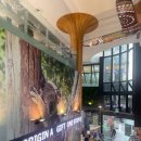 호주면세점 | 호주 아울렛 시드니 면세점 후기/시드니 여행코스 7박 9일 추천