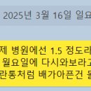 대진약국 | [10개월차] 자궁경 후기, 이식과 해외여행/시험관 중 피부과 시술?, 자연주기 동결이식 1차