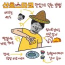산쵸스 타코 네이버블로그