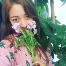 루나 이미지