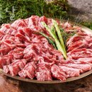벧엘동물병원 | [또 가고 싶은 맛집 추천] 제주돗날 할인 영업시간 가는길