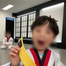 용인대 태권마루 태권도장 이미지